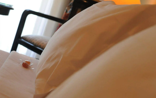 Hotel Villa Kinzica