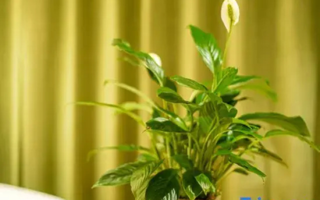 TRUE GO Hotel (Beijing Lishuiqiao Subway Station)