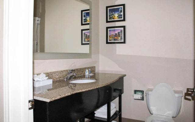 Comfort Inn & Suites Fultondale Gardendale I-65