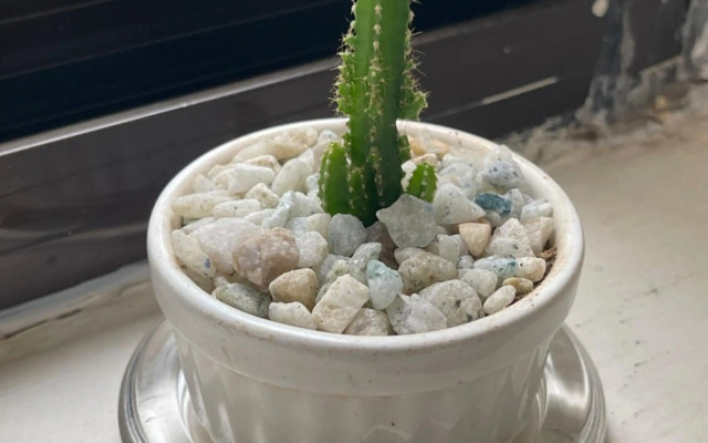 Kim luxury apartment