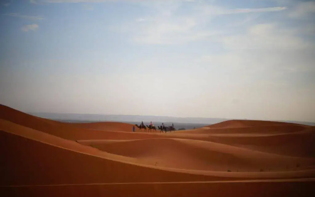 Camels House