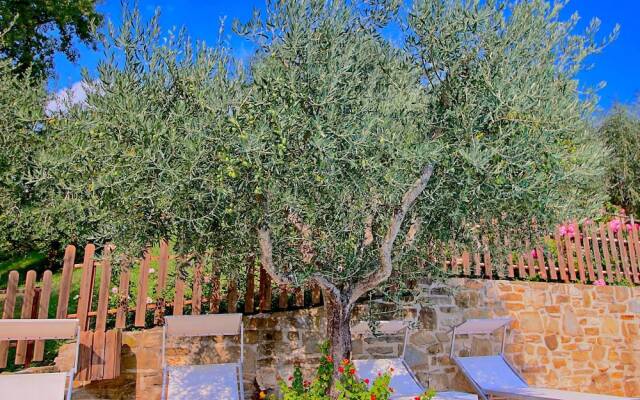 Spacious Farmhouse in Valfabbrica With Pool