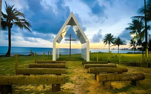 Studio Design 3 - Lions