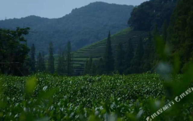 Xuanzhe Tea House Inn