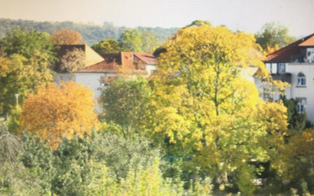 Ferienwohnung Dresden Laubegast