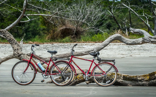 The Westin Jekyll Island Beach Resort
