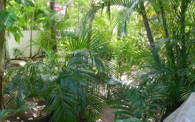 Oskars Rainforest Retreat