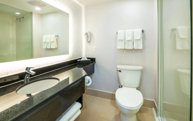 Comfort Inn & Conference Centre Toronto Airport