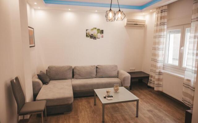Comfortable apartment in the city center