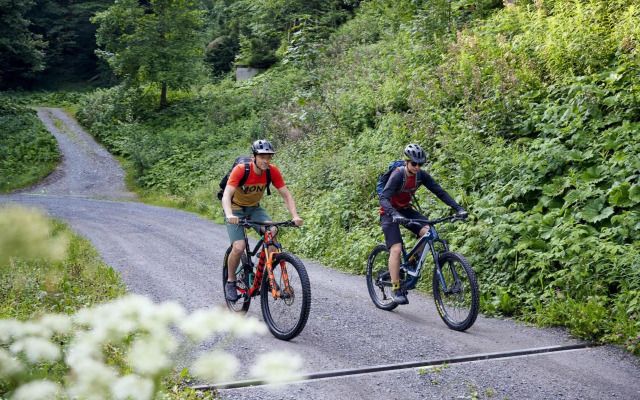 Burtscherhof in Braz