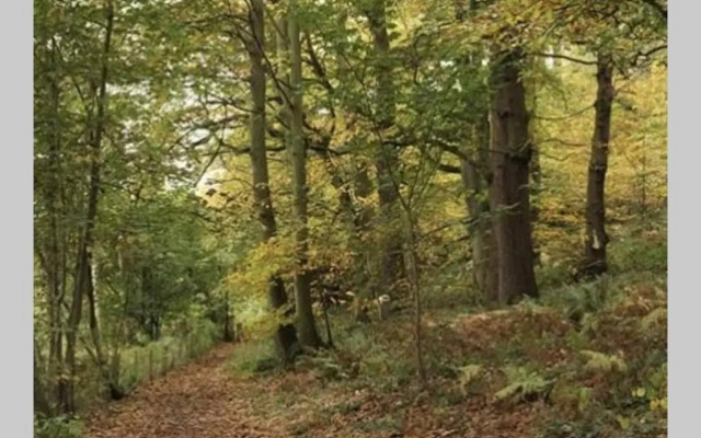 Cosy and Peaceful Maisonette with Terrace, Kidderminster