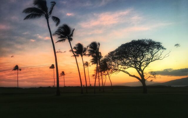 Kihei Garden Estates G102 - One Bedroom Condo