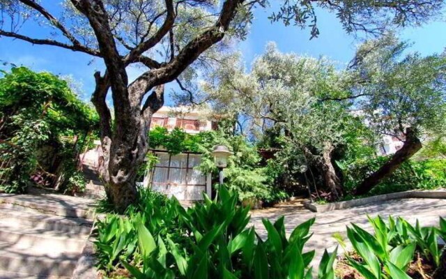 Elena Guest House