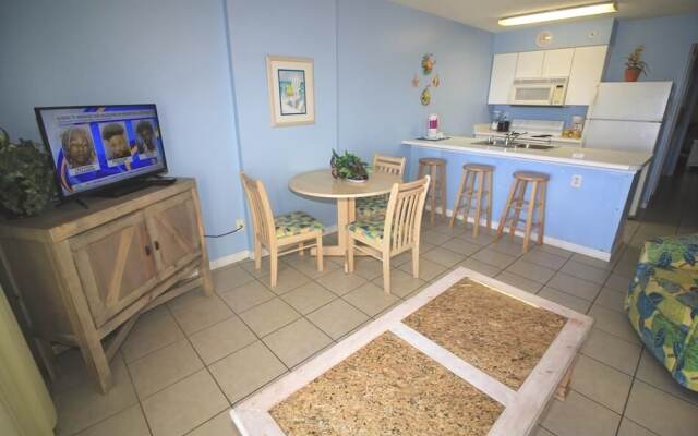 Royal Palms 806NS by RedAwning