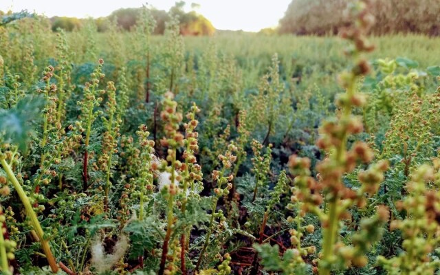 El Rincón de los Artistas