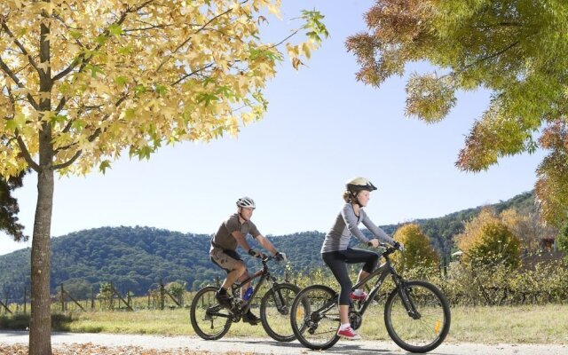 Mystic View Cottage Wandiligong