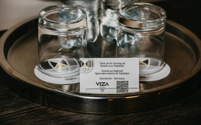 Hotel Viza