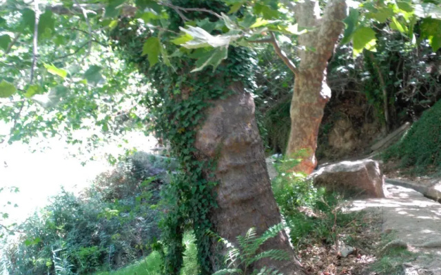 La Casita del Río
