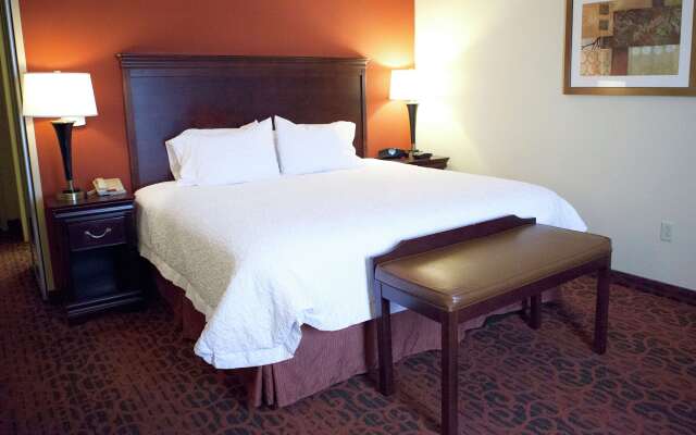 Hampton Inn Rochester Webster