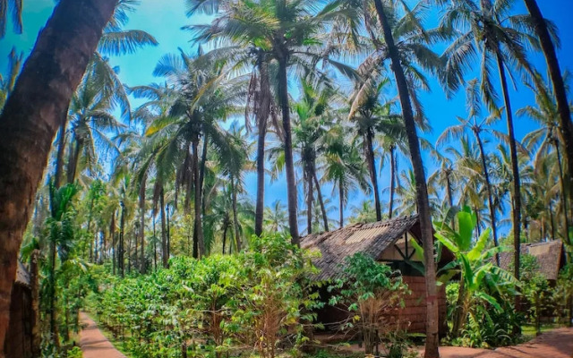 The Orchard Resort
