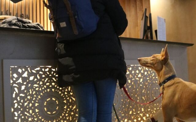 Apartamentos Málaga Premium - Calle San Telmo Thyssen Museum