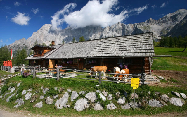 Appartement Enns By Schladmingurlaub