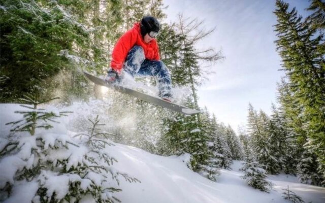 A Sleepy Bear's Hideaway