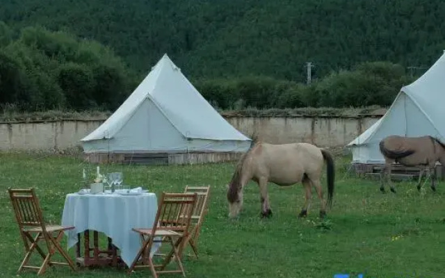 Shangri -la Liotard Farm  Fix Camp