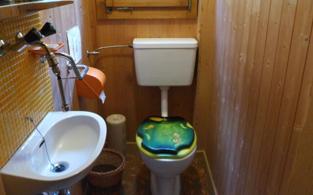 La Soldanelle Val-dilliez