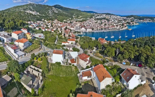 Violeta Hvar