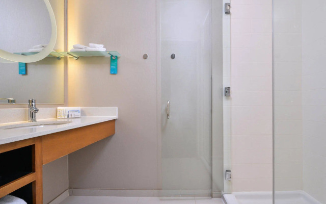 SpringHill Suites by Marriott Ashburn Dulles North