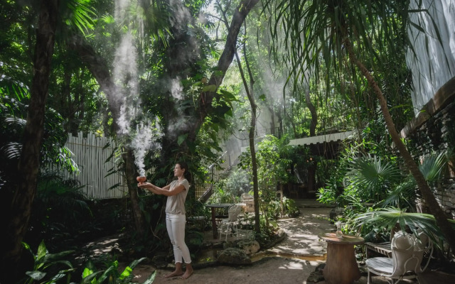 Hotel La Semilla, Playa del Carmen, a Member of Design Hotels - Adults Only