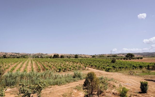 Agriturismo Bio Podere 109 - Wine & Food