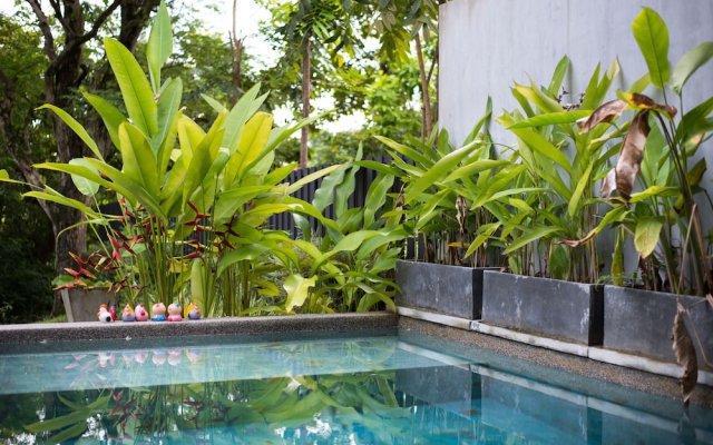 Luxury 3 Bedroom Pool Villa Rambutan