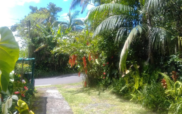 case creole