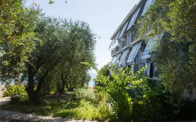 Studios Avra