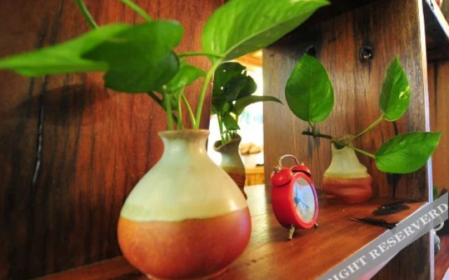 Jiuqi Letu Themed Hotel