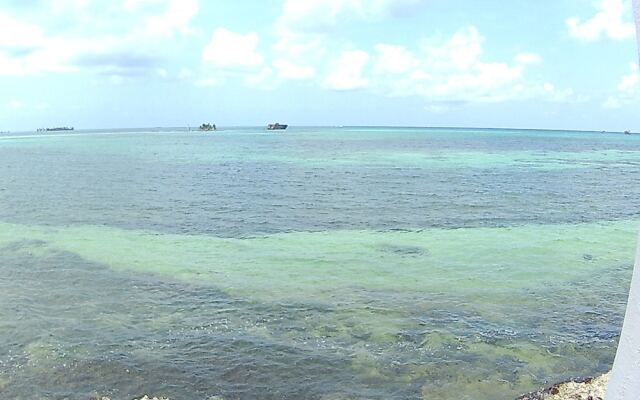 Rocky Cay Bay