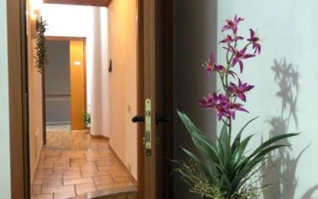 Maeva GuestHouse