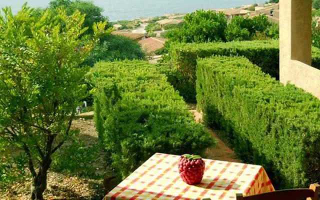 Coccole Di Mare