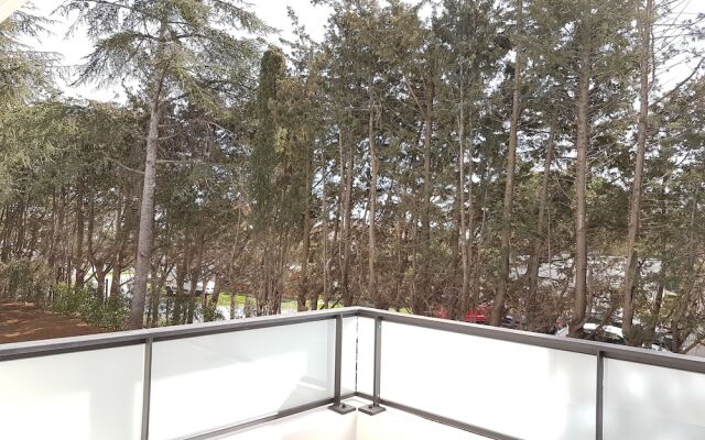 Appartement Neuf Stylé Proche Gare Sud