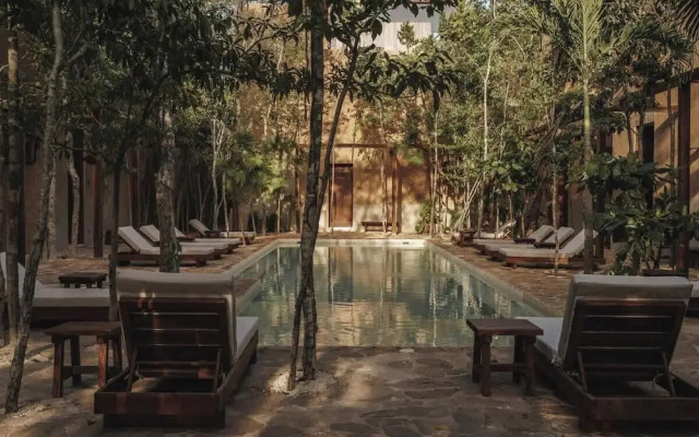 Villa Serenidad Garden Terrace Rooftop Pool