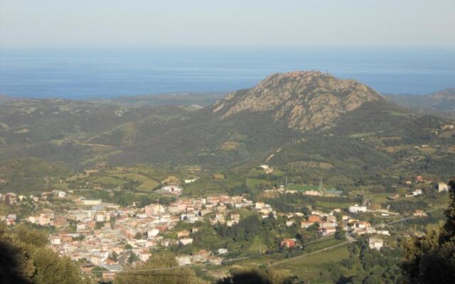 Il Mirto