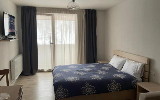 - Bakuriani -The Valley - Apt 501 & 502