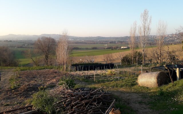 Boschetto Your Refuge Surrounded by Nature