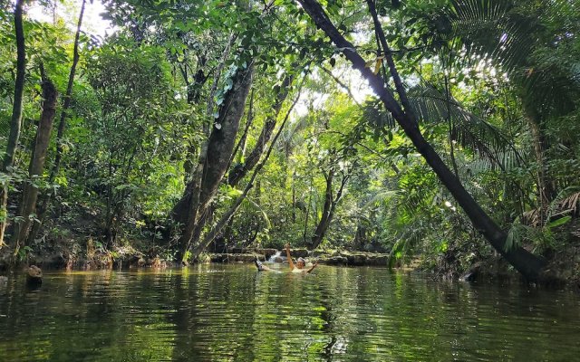 Lower Dover Jungle Lodge & Maya Ruins - Hostel