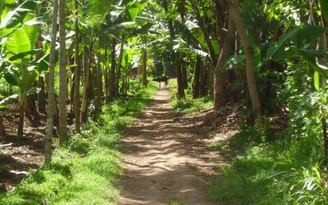 The Vijiji Center Lodge and Safari