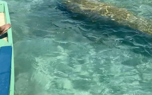 Pousada e Restaurante Frutos do Mar Milagres