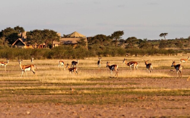 Suricate Tented Lodge