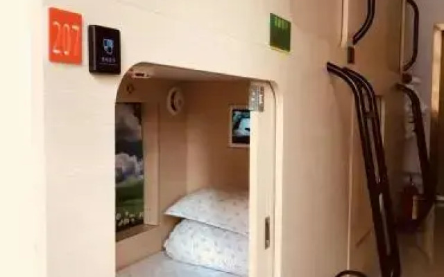 The Olive Tree Capsule Hostel